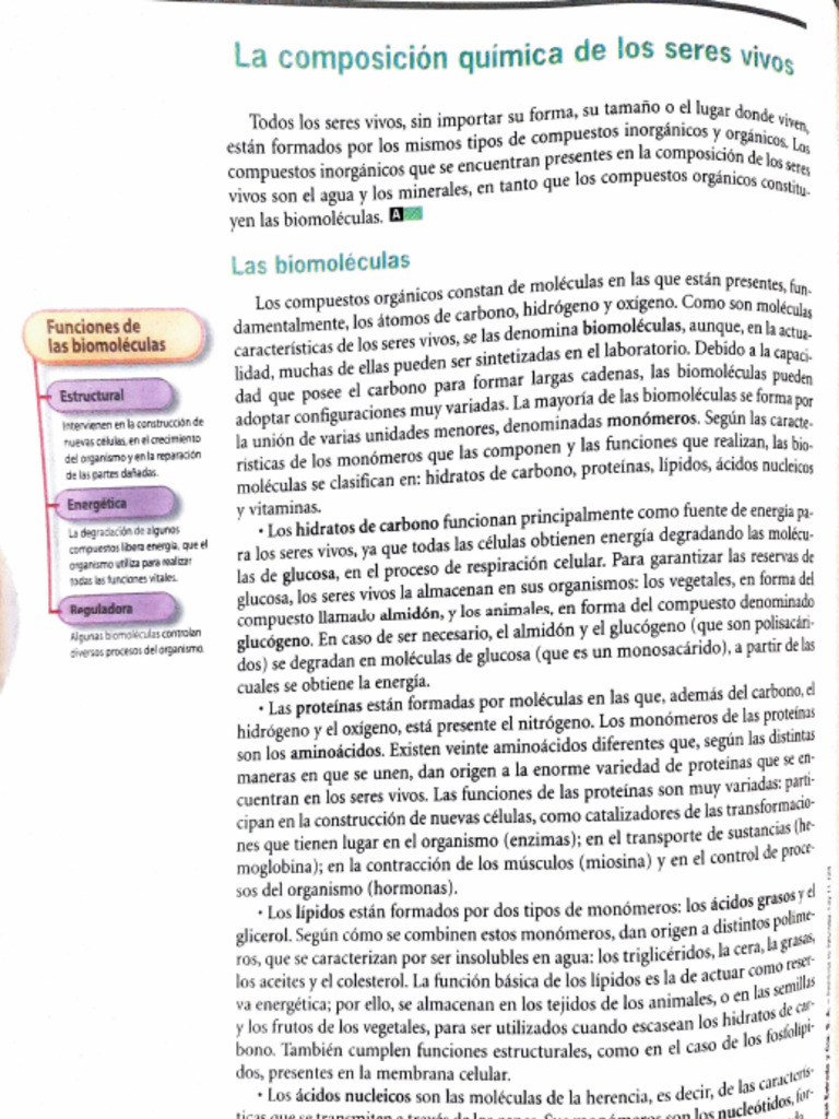 Composición Química de los Seres Vivos | PDF | Biomoléculas ...