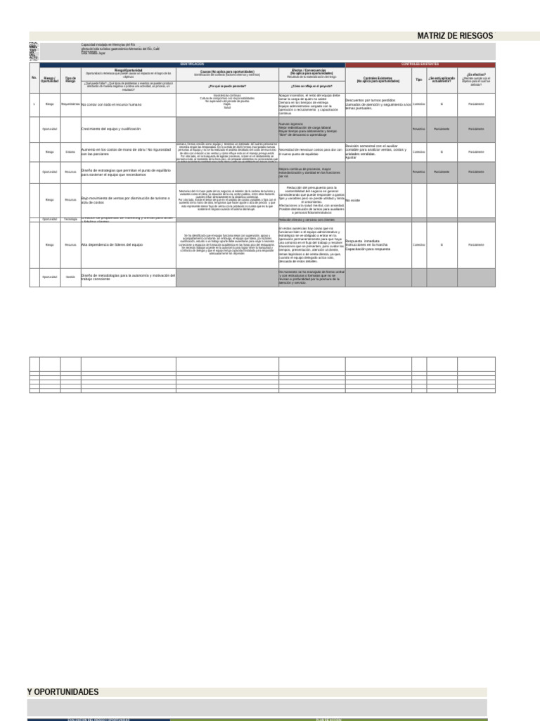 Matriz de Riesgos y Oportunidades | PDF | Presupuesto | Gestión de ...