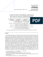 A role for the Clostridium perfringens ß2 toxin in bovine enterotoxaemia
