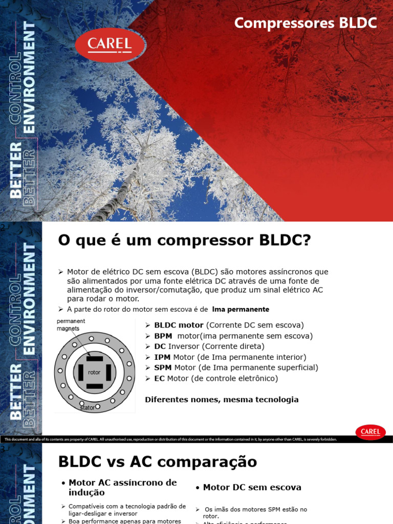 Compressor Carel BLDC R290 R744 | PDF | Motor elétrico | Motores