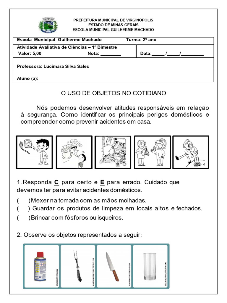 Prevenção de Acidentes Domésticos - 2º Ano | PDF