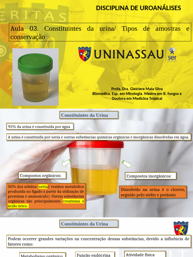 Constituintes e Coleta de Urina | PDF | Metabolismo | Urina