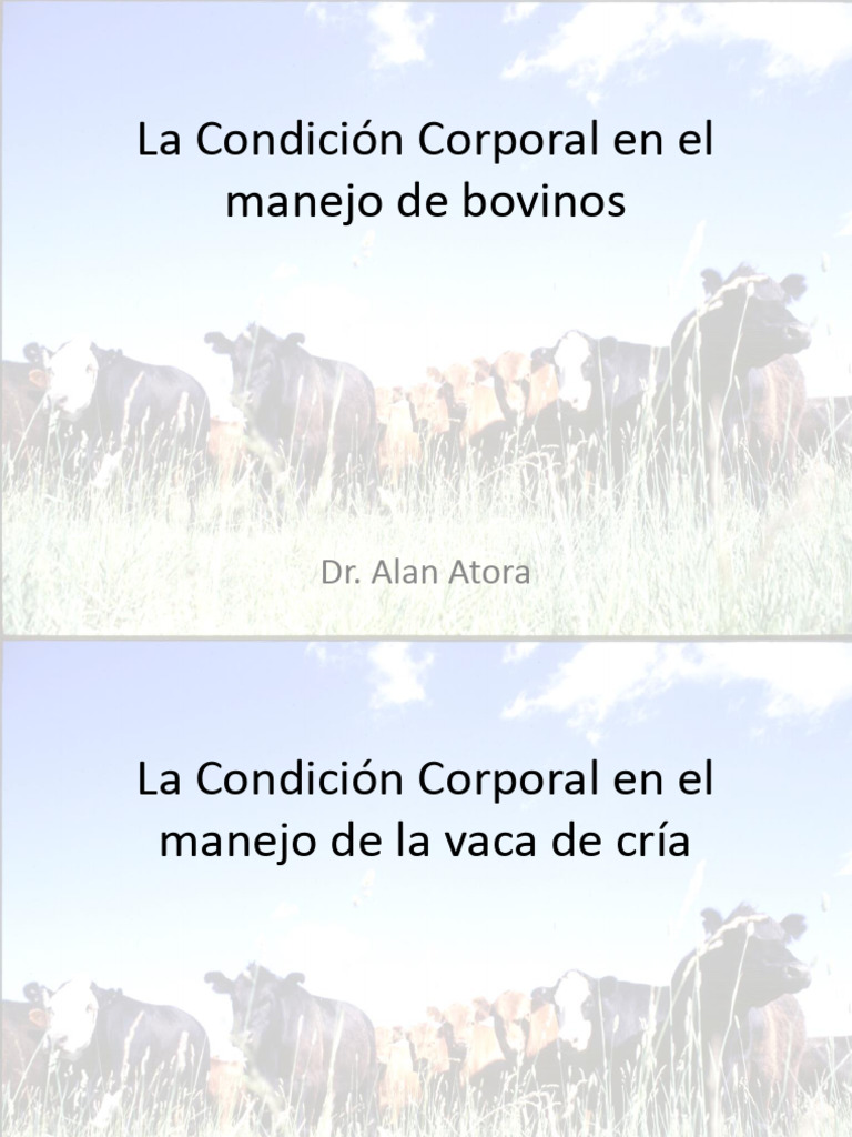 Tema 8. Condicion Corporal | PDF