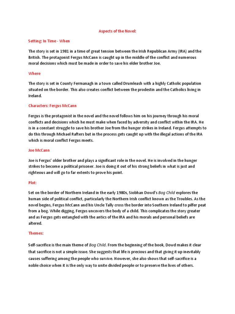 Aspects of The Novel Bog Child | PDF | Social Science | History