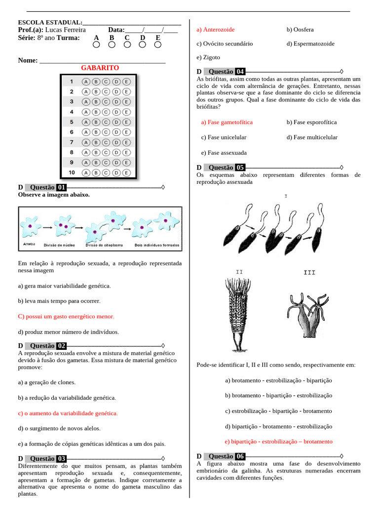 Exercícios de Reprodução para 8º Ano | PDF | Reprodução sexual | Reprodução