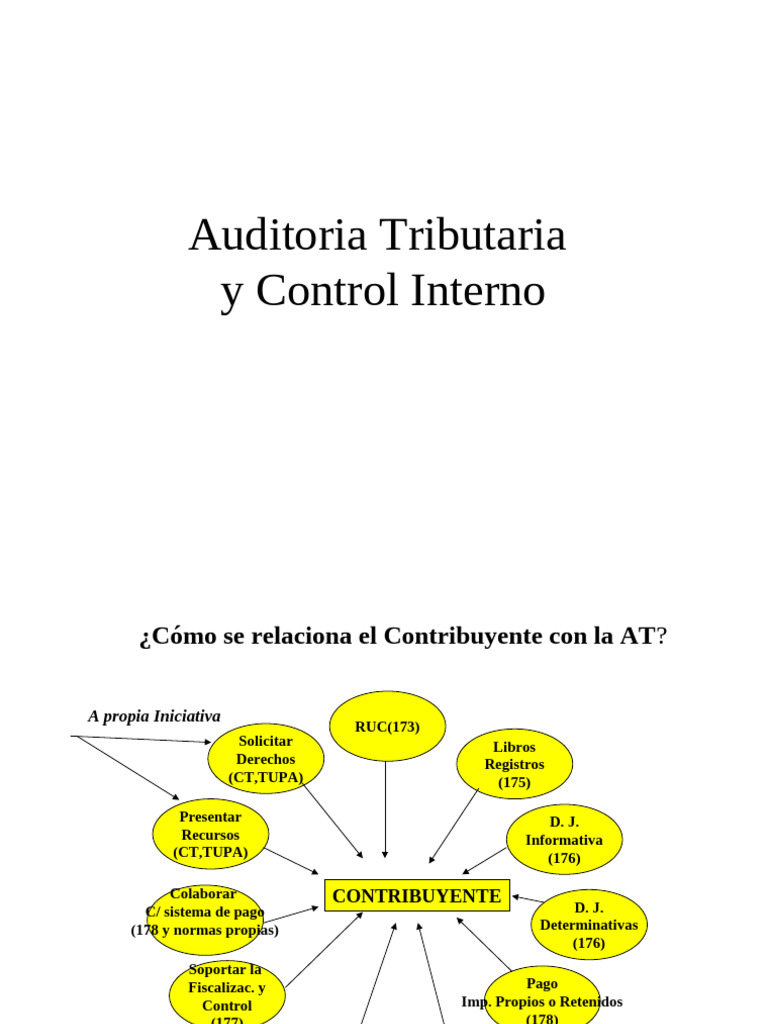 Auditoría Tributaria y Control Interno | PDF | Pagos | Contabilidad