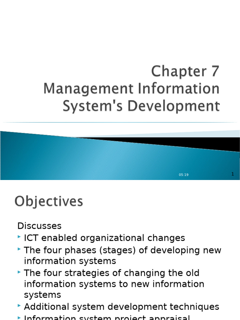 Information System Development Strategies | PDF | Internal Rate Of ...