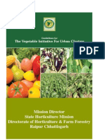 Vegetable Initiative For Urban Clusters - RAIPUR - CHHATISGARH