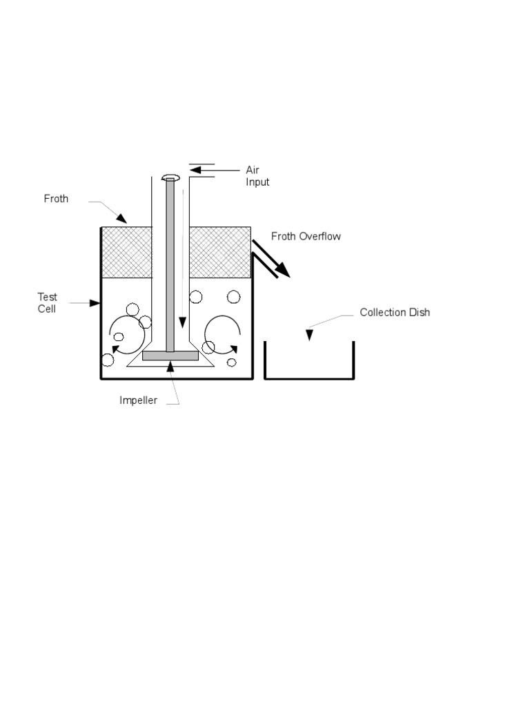 Air Input Froth Overflow Test Setup | PDF