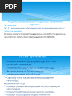 Қабырғаға бекітілген немесе аралық көлденең жолақ