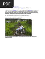 Download PhotoshopbyGemaRosesSN85011717 doc pdf