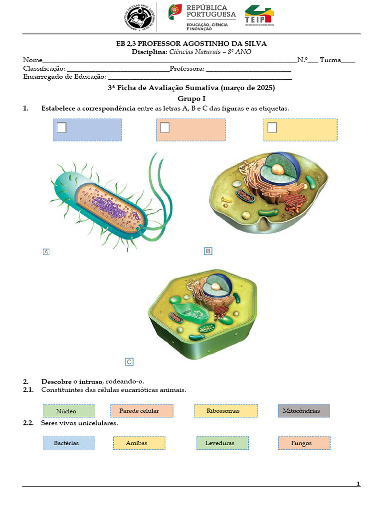 Avaliação de Ciências Naturais 8º Ano | PDF | Célula (Biologia ...