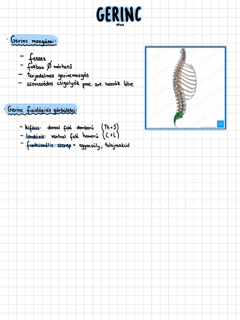 Gerinc | PDF