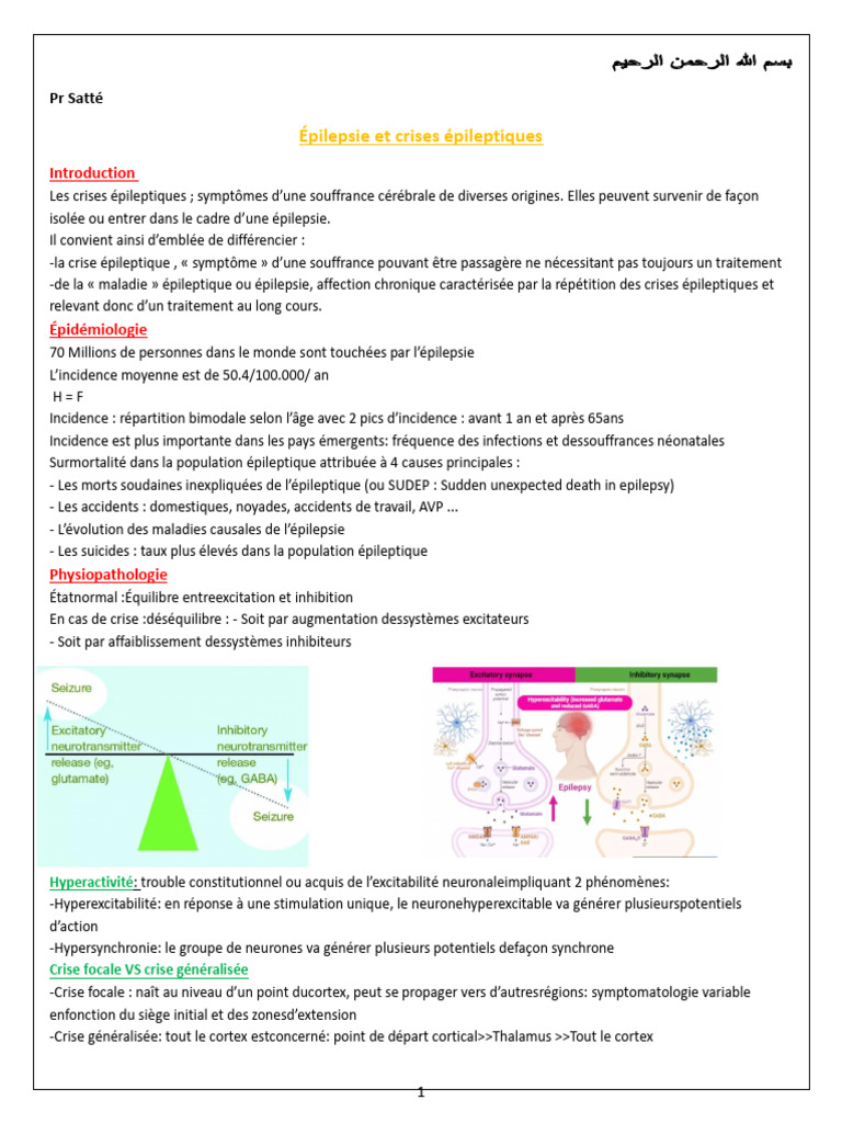 Épilepsie : Types, Causes et Diagnostic | PDF | Épilepsie | Synapse
