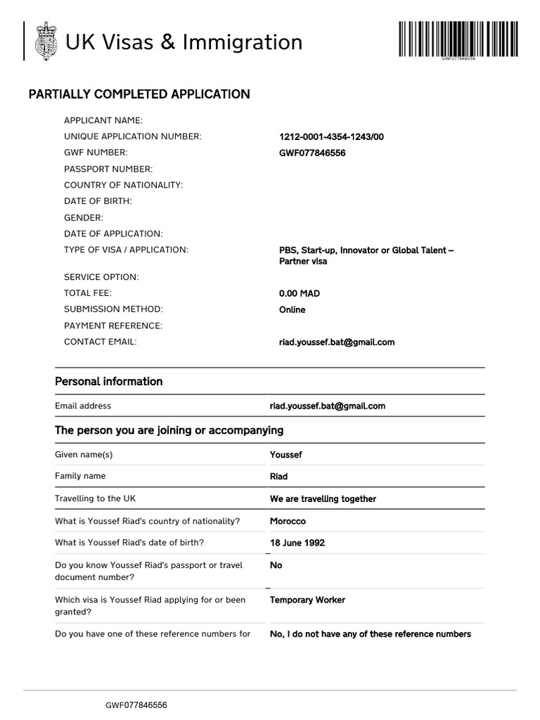 Youssef Riad's UK Visa Application Details | PDF