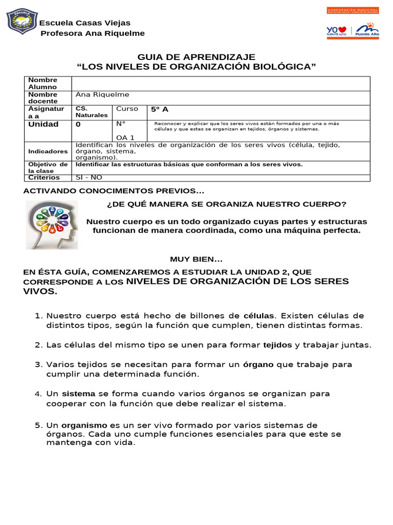 Niveles de Organización Biológica | PDF | Tejido (biología) | Organismos