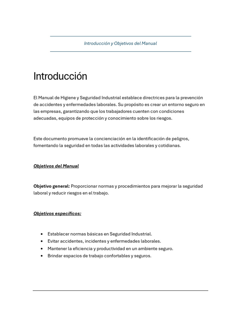 Manual de Higiene y Seguridad Laboral | PDF | Seguridad y salud ...
