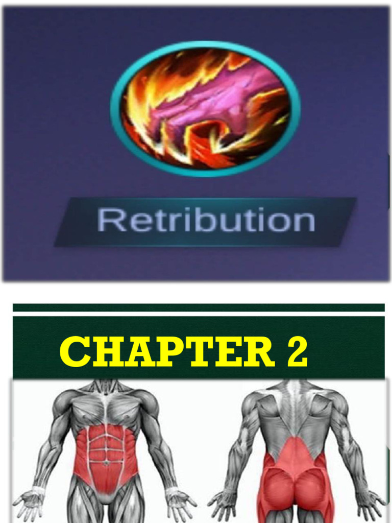 Core Stability Benefits and Exercises | PDF | Abdomen | Physical Fitness