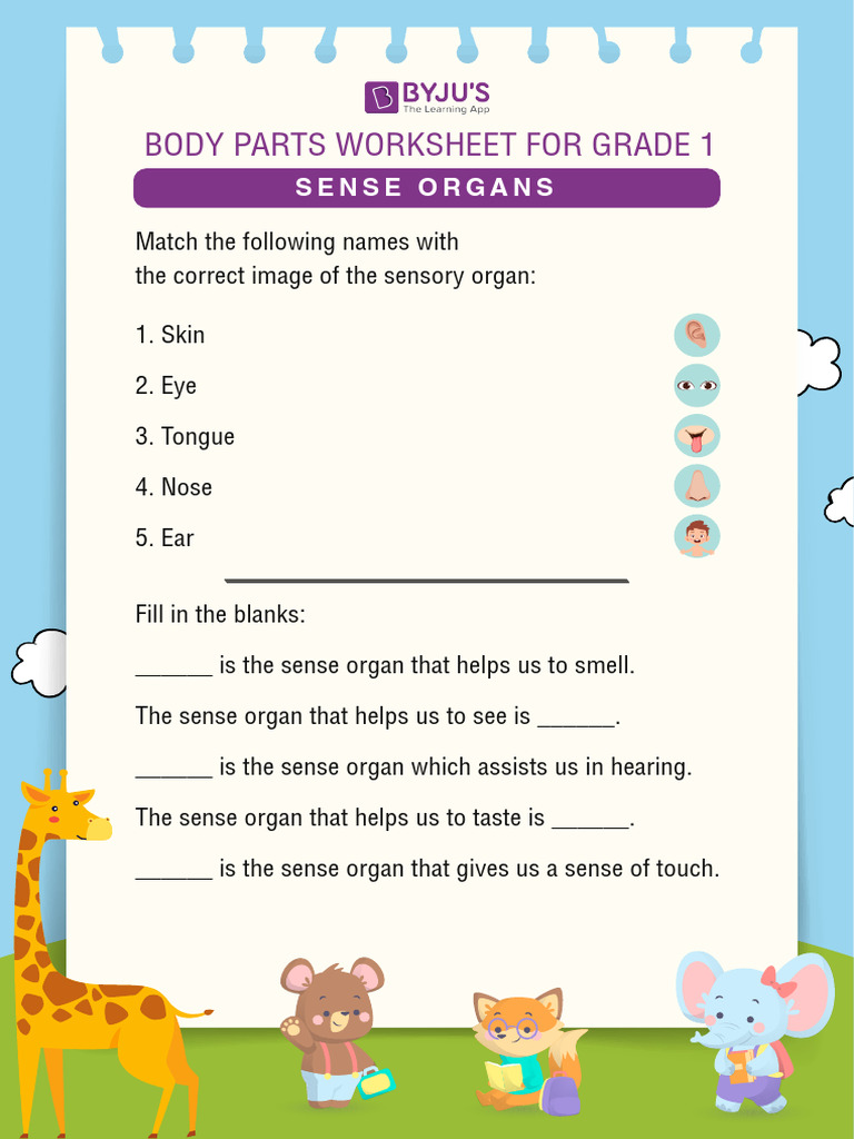 Body Parts Worksheet 2 | PDF