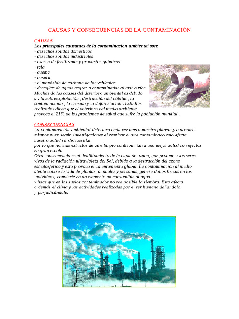 Causas y Consecuencias de la Contaminación | PDF