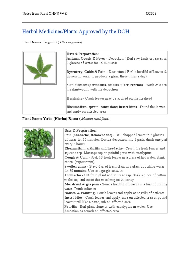 Herbal Medicines Plants Approved by The DOH PDF Clinical Medicine