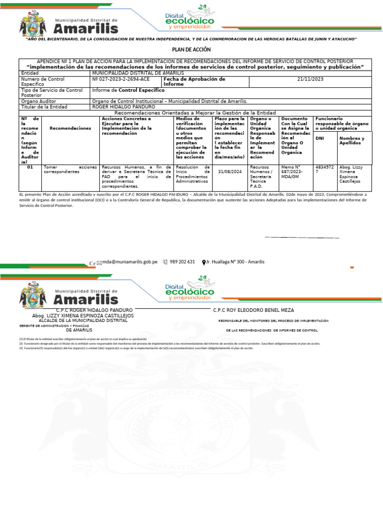 Plan de Acción para Implementación de Recomendaciones | PDF | Gobierno