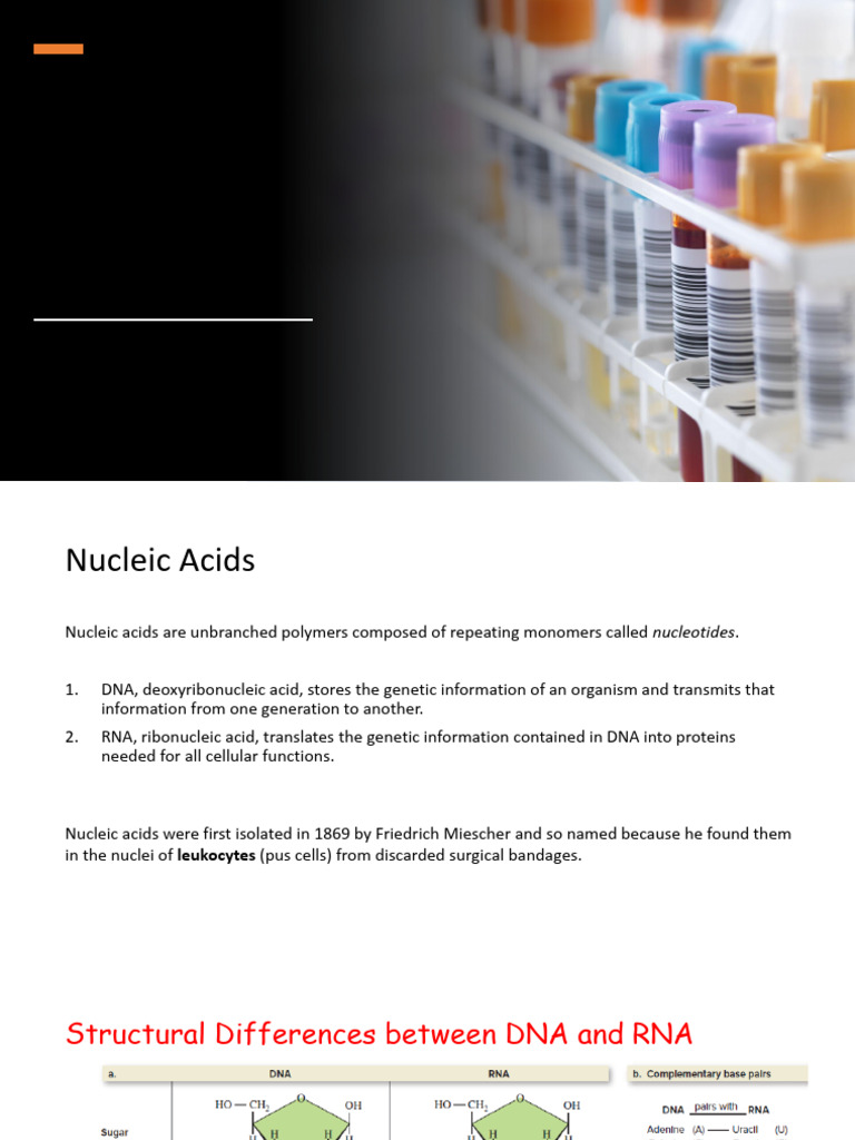 Nucleic Acids Chemistry | PDF | Nucleotides | Nucleic Acids