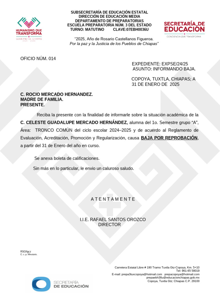 Baja académica por reprobación en prepa | PDF