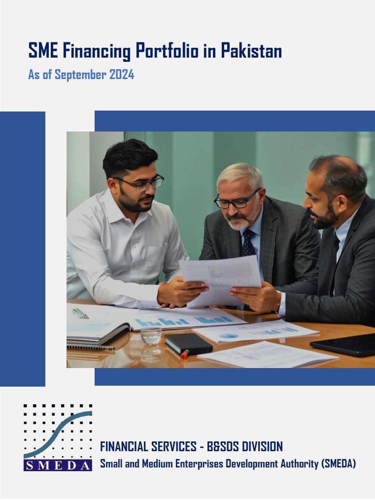 SME Financing Portfolio Sep 2024 | PDF | Small And Medium Sized ...