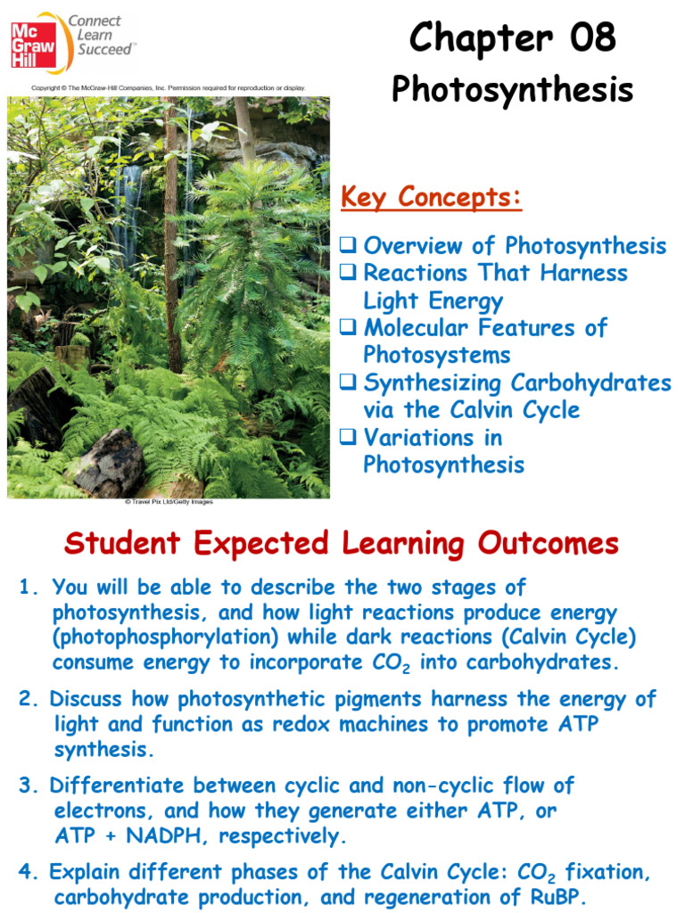 Said Sif - Chapter 8 | PDF | Photosynthesis | Chlorophyll