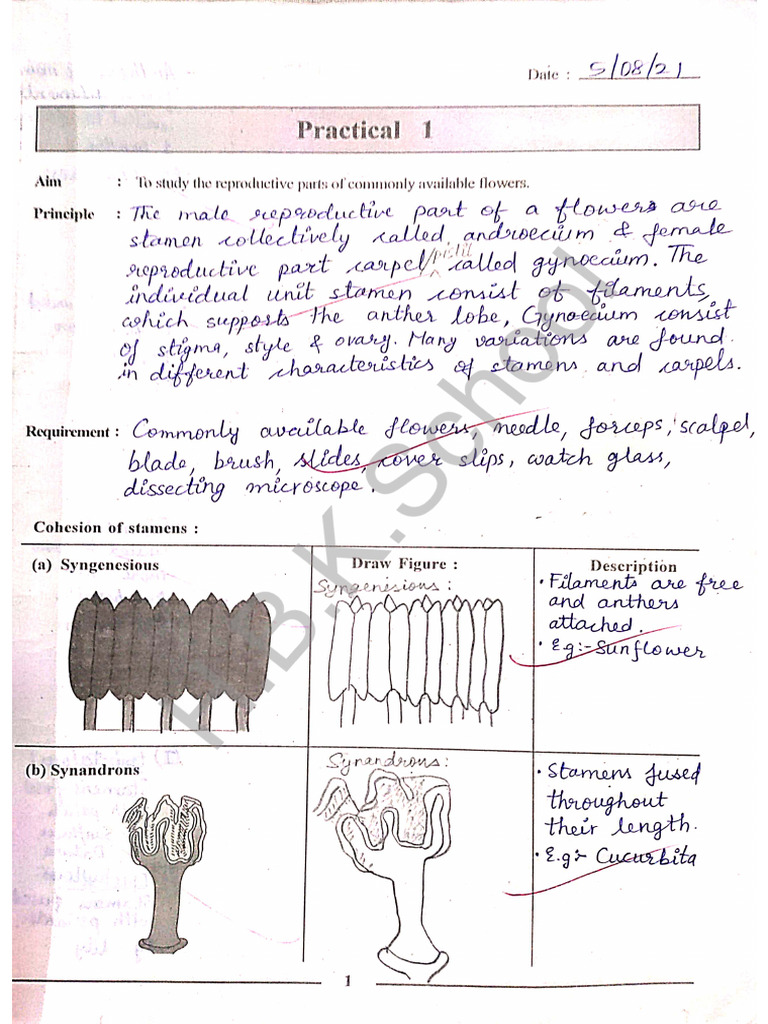 12th Biology Journal 2024-25 | PDF