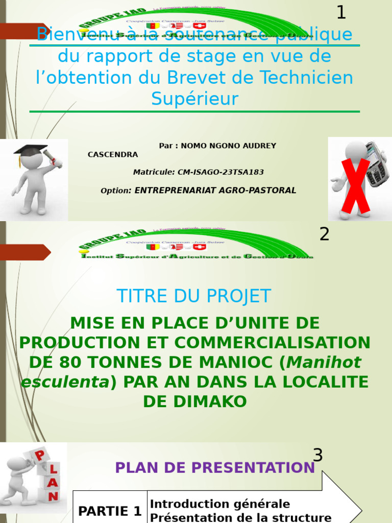 Production de Manioc à Dimako | PDF | Science agricole | Industrie ...