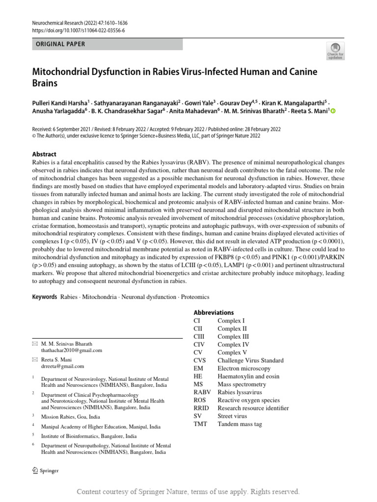 Mitochondrial Dysfunction in Rabies Virus-Infected | PDF ...