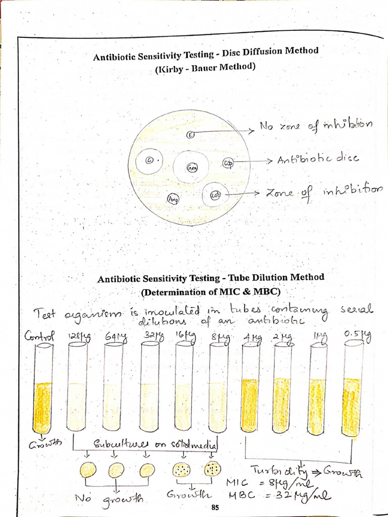 8.antimicrobial Susceptibility Testing | PDF