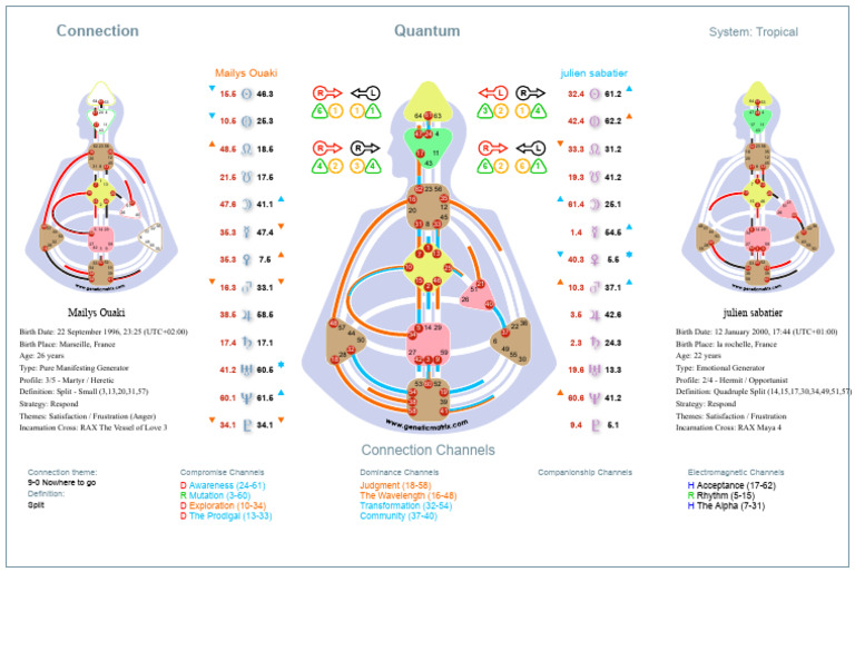 Quantum Connection Analysis: Profiles & Channels | PDF