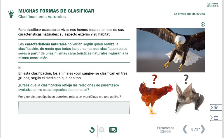 Muchas formas de clasificar | PDF
