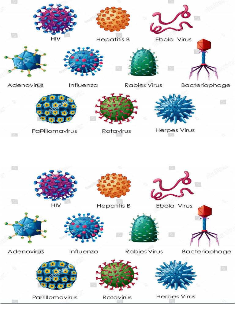 Virus Pdf