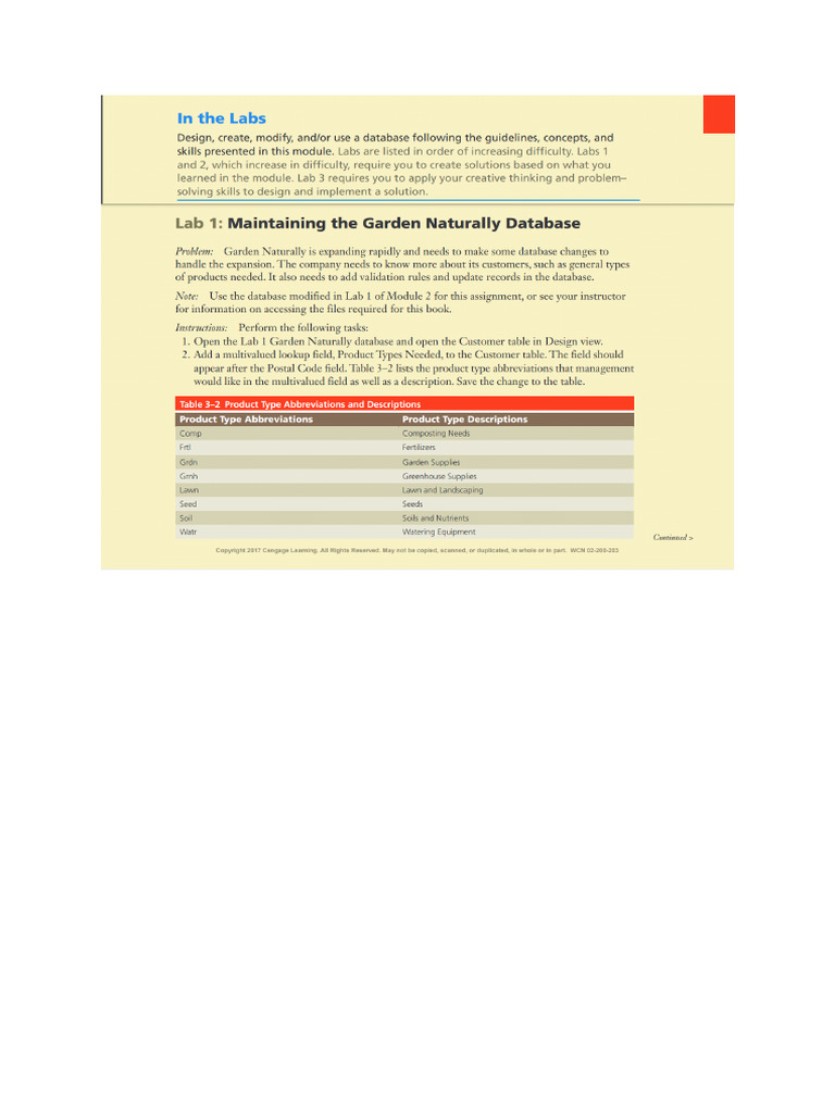 Access Activity 3 Instructions | PDF
