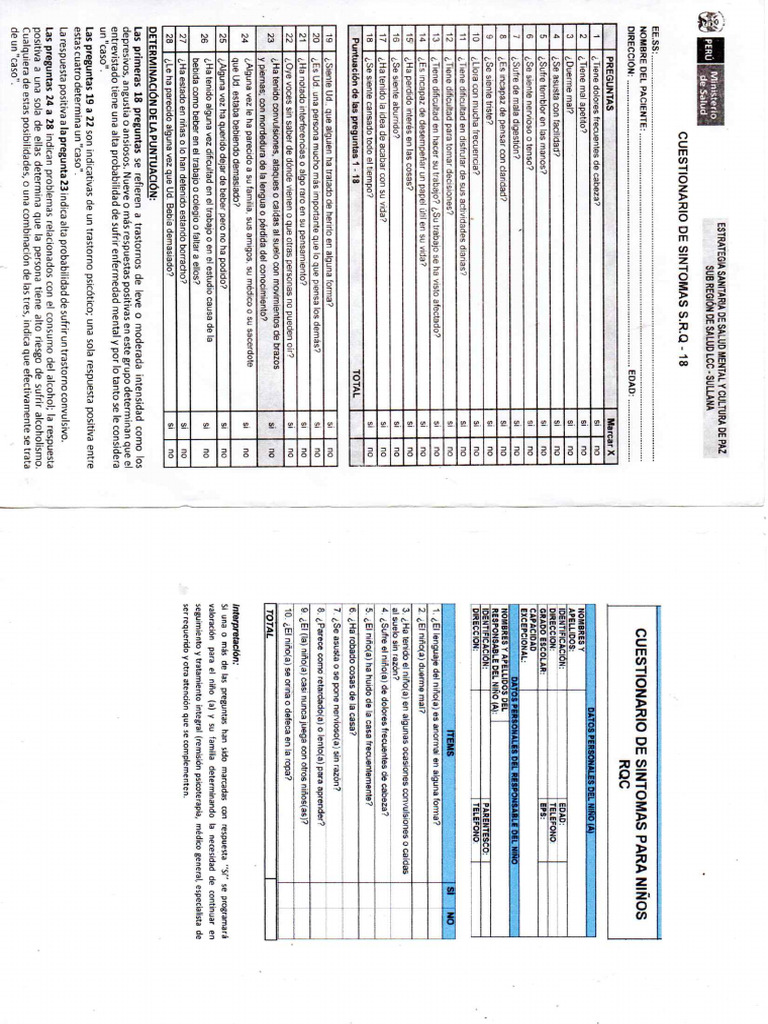 RQC y SRQ | PDF