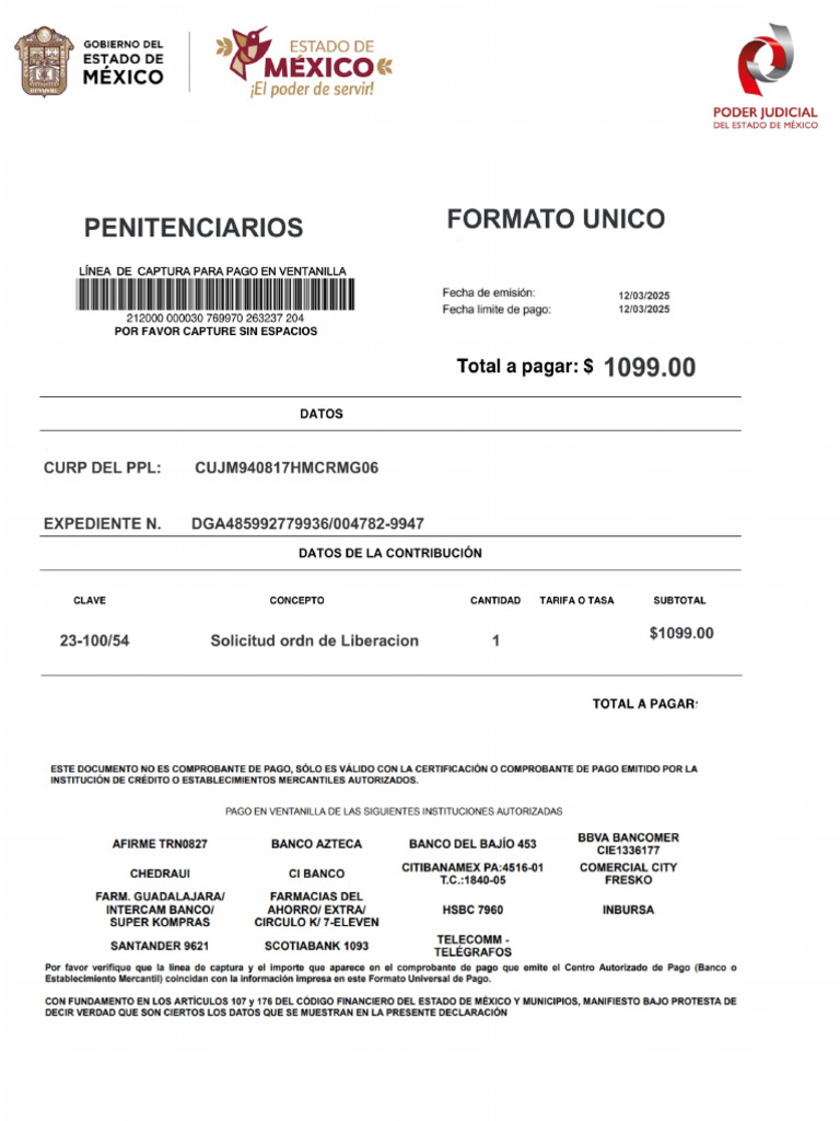 Formato Pago Miguel Orden de Libertad | PDF