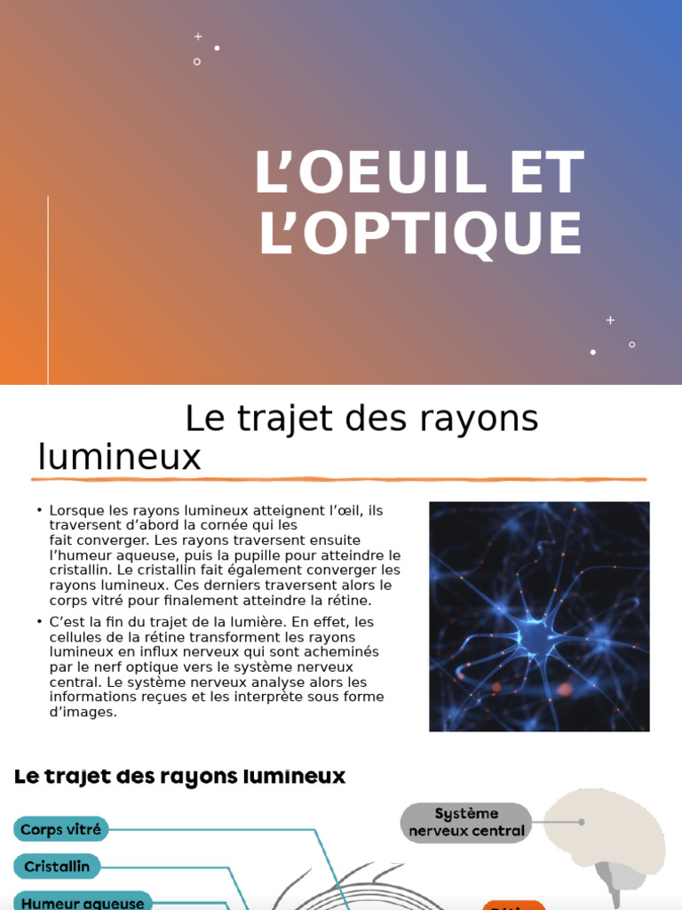 Présentation 2 | PDF | Myopie | Œil humain