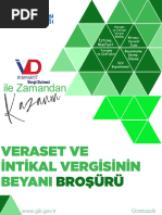 Veraset visual data 4