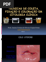 Aula Técnicas de coleta, fixação e coloração em citologia clínica