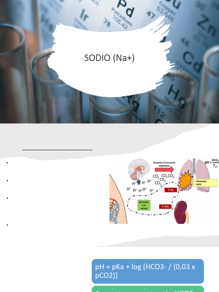 Equilibrio y Función del Sodio en el Cuerpo | PDF | Sodio | Fisiología