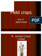 Copy of Field Crops