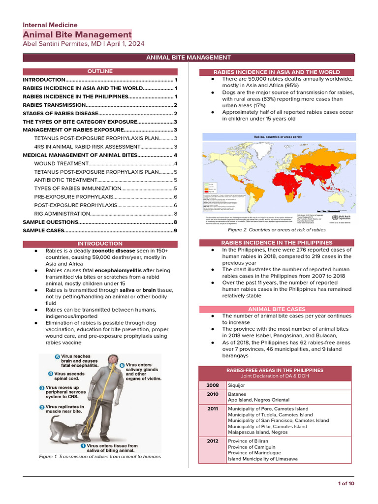 Category 3 Dog Bite Management | PDF | Rabies | Medical Specialties