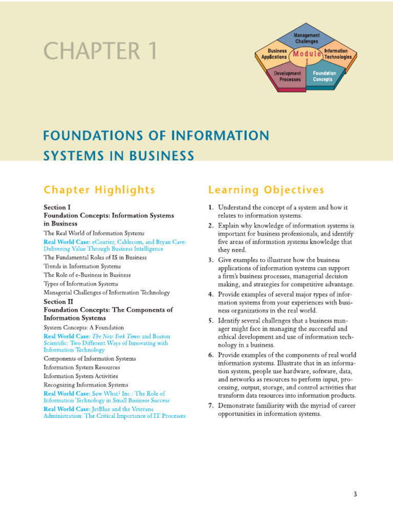 Information Systems for Business Success | PDF | Information System ...