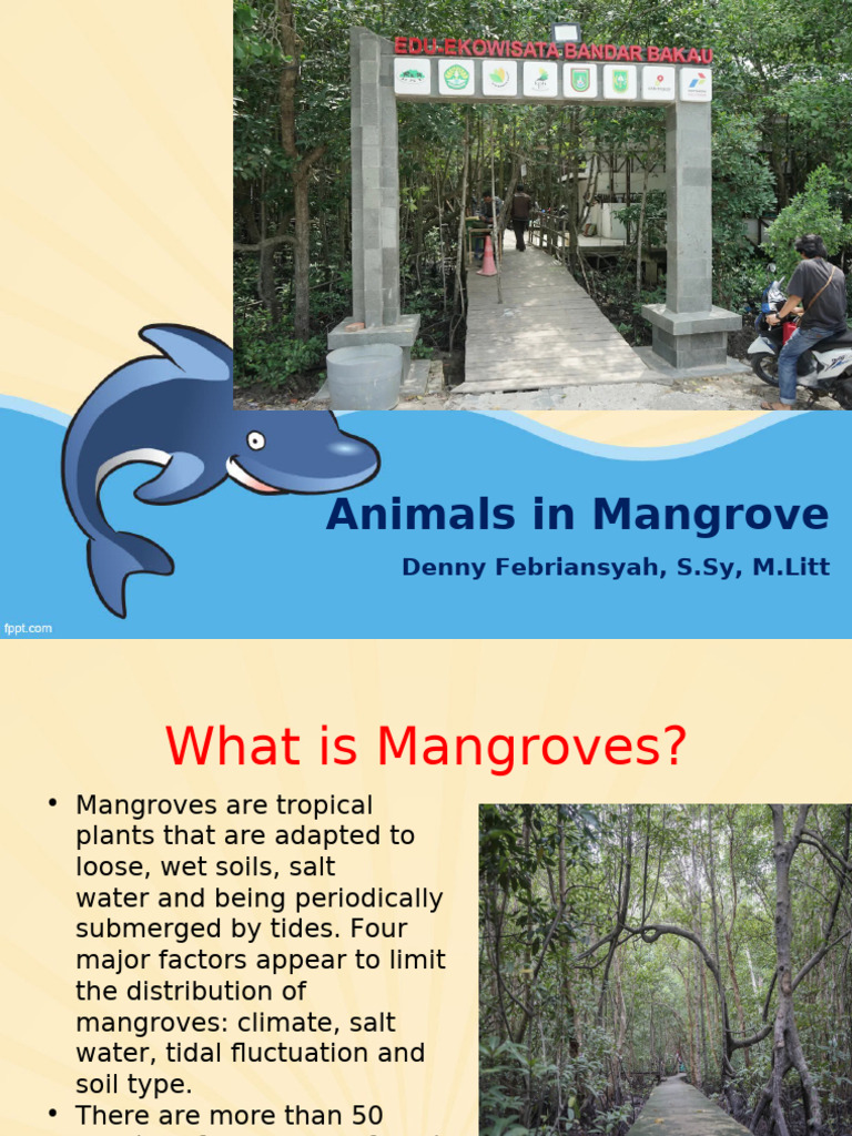 Wildlife in Mangrove Ecosystems | PDF | Mangrove