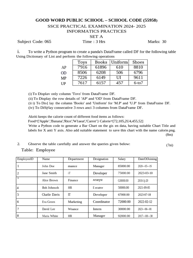 IP Board Question Paper 2025 - Set A | PDF