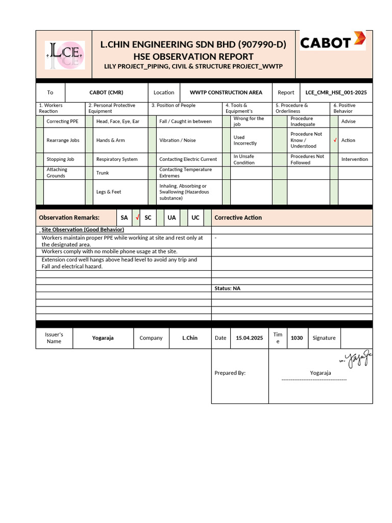 L.chin CMR Lily Project HSE Observation Report | PDF | Personal ...